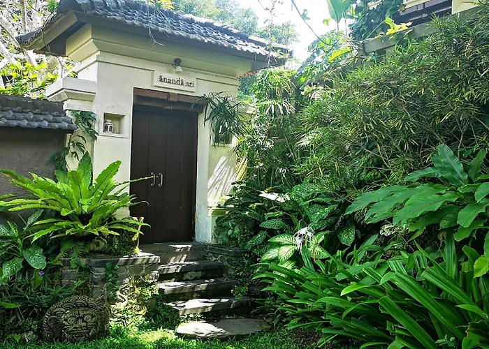 Nirvana *